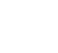 Mastech Solutions